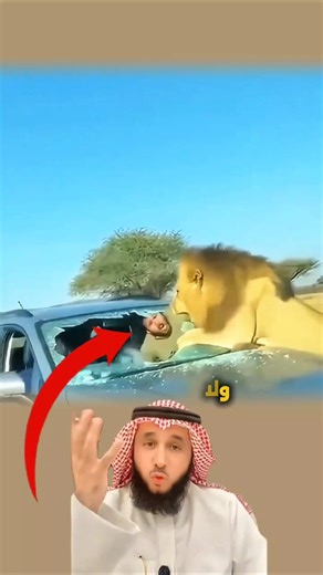 ​عندما يستيقظ غضب الأسود، تسقط كل دروع الأمان الوهمية #lion #viral #حيوانات_بريه #shorts