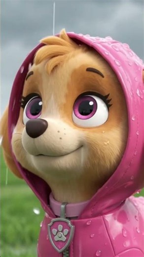 PAW Patrol Skye in her pink raincoat
