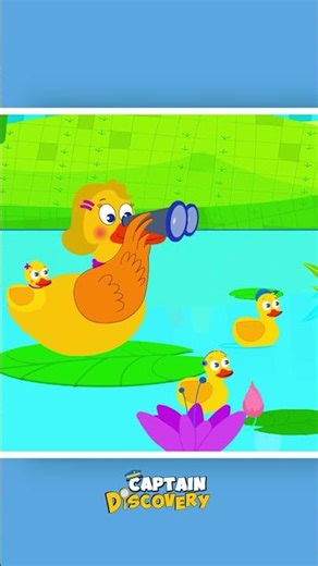 Five little Ducks 🐥 #shorts #nurseryrhymes #kidssongs