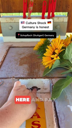 American Culture Shock - Germany is Honest - Picking Flowers in Schopfloch (Stuttgart)