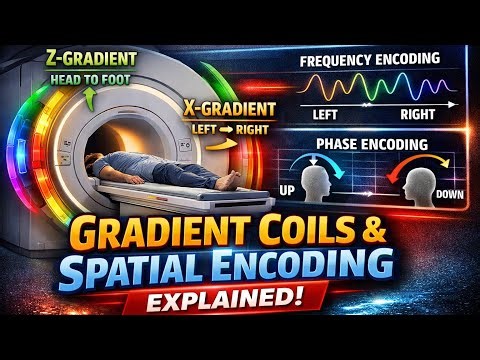 MRI Gradient Coils & Spatial Encoding Explained | Slice Selection, Frequency & Phase Encoding