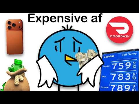 Why Tf Is Everything So Expensive?