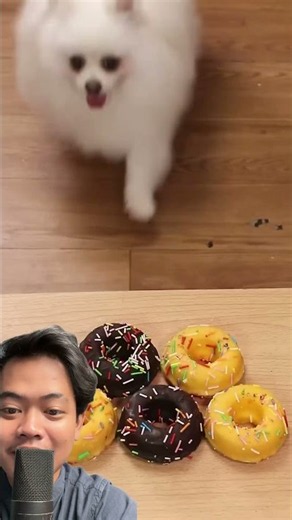 Save the ducky!! 🥹🥳 ⁉️ nicothePomeranian