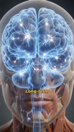 You are damaging your brain ! #humanhealth #3danimation #braindamage #science #healthtips #medverse