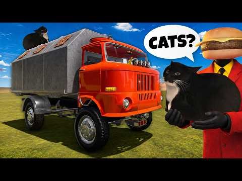 Searching for Cats While Trying to Complete My Road Trip (The Long Drive)