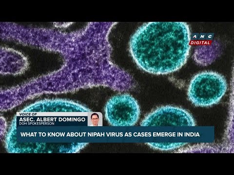 FULL: DOH explains Nipah virus, its symptoms, how to protect yourself | ANC