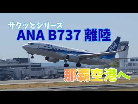 【サクッと1分】全日空(B737)阿蘇くまもと空港から那覇空港へ青空の中離陸！