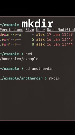 Basic terminal commands everyone should know!