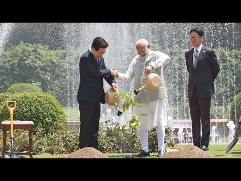 PM Modi, President Lee Jae Myung of the Republic of Korea plant a sapling