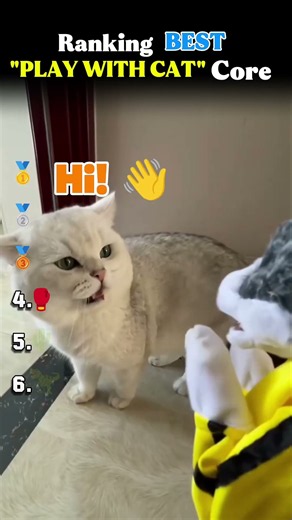 Ranking BEST "PLAY WITH CAT" Core Moments!! 😺🧸