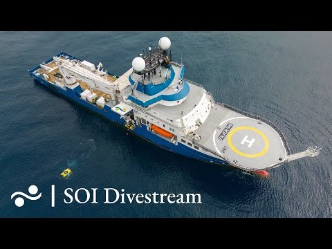 Waypoint 15 - Malvinas Trench | SOI Divestream 892