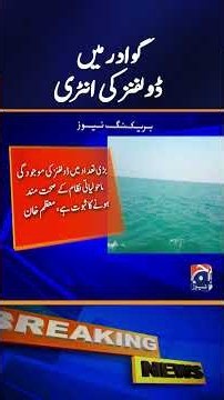 Over 500 Dolphins Leap Near Fishing Boat in Gwadar Waters | Uneeba Waqar | Geo News