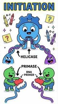 AP Bio in a Minute: DNA Replication