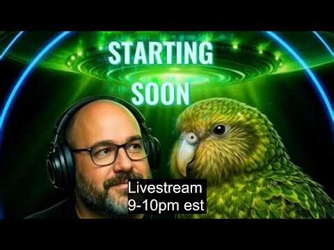 UFOs in the Last 24 Hours: Real Sightings or Just Sky Noise?"