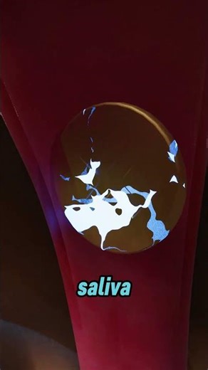 Swallowed a Button Battery? This Happens in Minutes…