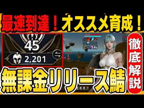 【アイオン2】無課金でIL2200の壁を突破！最速で駆け上がる装備更新＆育成ロードマップ【PC】【AION2】