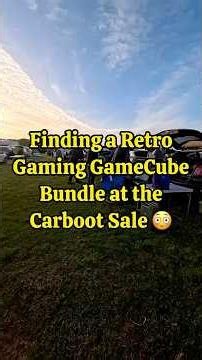 Finding a Retro Gaming GameCube Bundle at the Carboot Sale