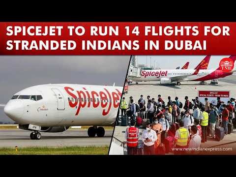 SpiceJet to run 14 UAE-India flights for stranded passengers; IndiGo extends free cancellations