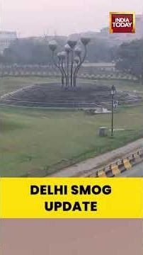 Delhi Engulfed in Smog Around AIIMS; AQI Moderate at 117, Says CPCB