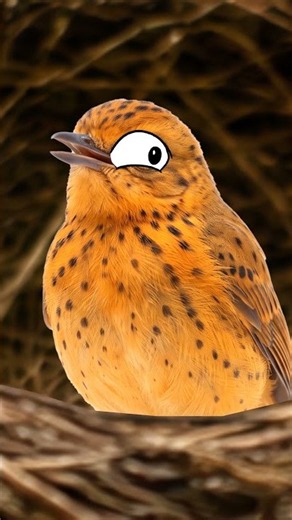 Animals That Disguise Themselves As Others 🤔