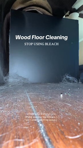 Boss Lady Cleaning on Instagram: "#cleantok"