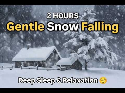 2 Hours Gentle Snow Falling in Forest 🌨️ Deep Sleep & Relaxation | SnowAmbience