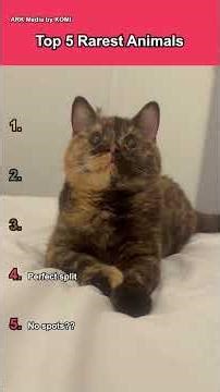 Top 5 rarest animals 🌍🐾