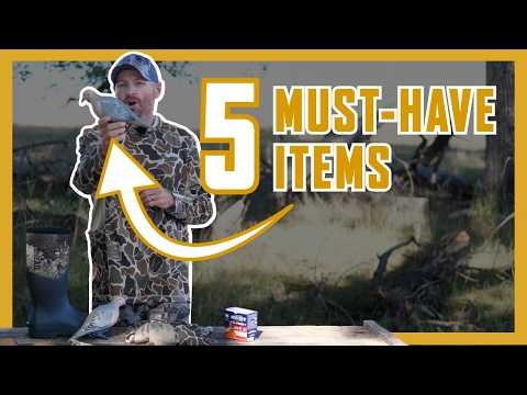 5 Dove Hunting Items You Should Never Leave Home Without