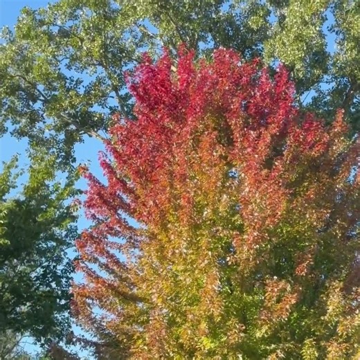 Beautiful Day — U2
