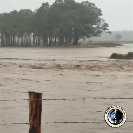 Paddocks have been oceans overnight in Clermont, CQLD after 200mm of rain fell. This rainfall has broken the January daily record, which had held since 1953! Video provided by HSC follower Kath. | Higgins Storm Chasing