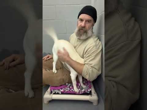 Meet Shunka! What A Sweetie!