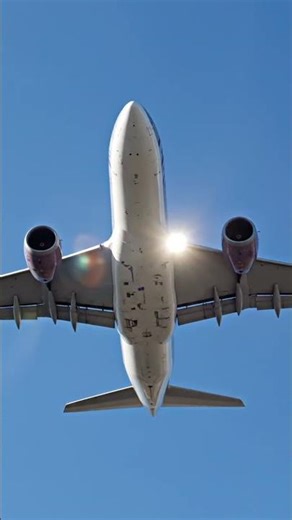 #flight #viralvideo #shorts ✈️✈️