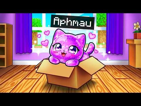 I’m a SQUISHY KITTEN in Minecraft!