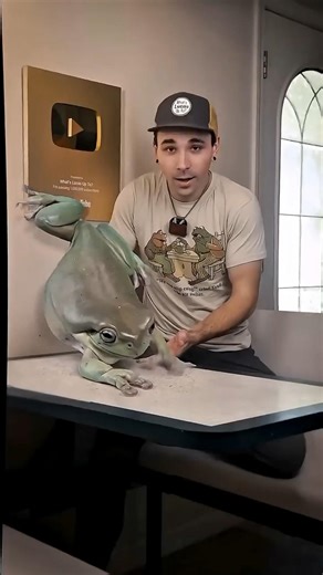 World’s Biggest Frog Ever 🐸😳
