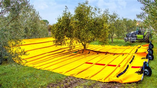 10 mind-blowing innovations shaping our future: from Mars drones to smart trash cans!