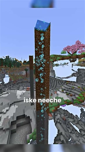 The Most Disguised Trap in Minecraft