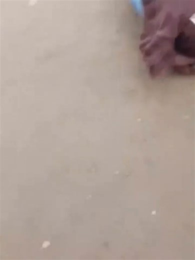 WATCH: Disturbing Video Shows Moment Nigerian Policeman Executing Handcuffed Man
