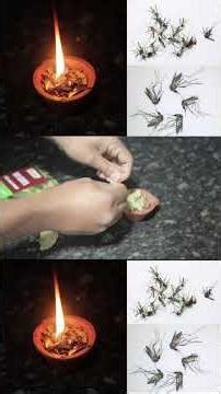 Just One Minutes | How to Kill Mosquitoes in One Minute | Without Chemicals | Mr Maker