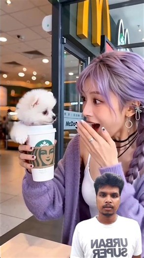 Rumi picked up the lovely teacup dog.