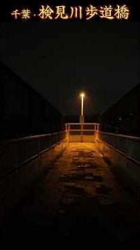 【心霊】深夜２時に高速上の歩道橋を調査...#shost