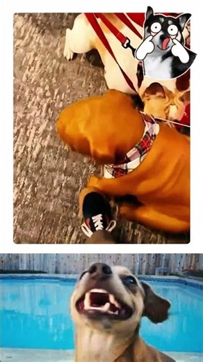 The ultimate Dinosaur prank! 🦖😱 😂