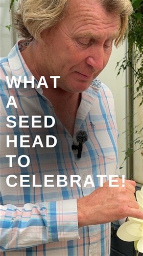 David Domoney: Why Lotus Seed Heads Look Like Alien Eyes #gardening #gardeningtips