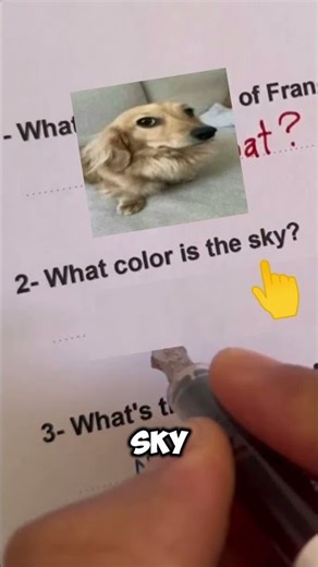 Grading Test #shorts #memes