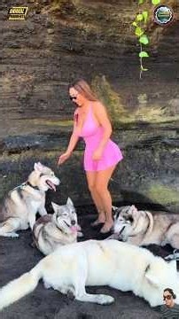 They Were in Danger… Then Someone Saved Them ❤️ Animal Rescue Part 41