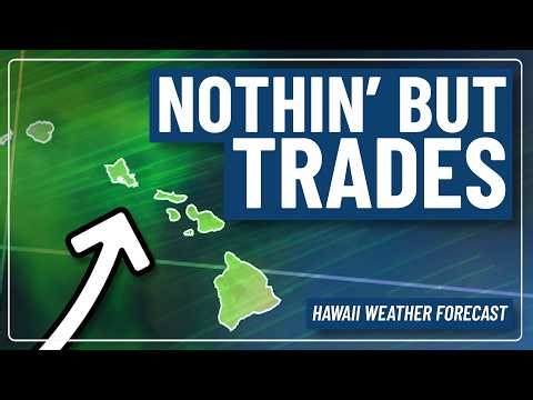 Moderate to Breezy Trade Winds & Minimal Rainfall | Hawaii Weather Update
