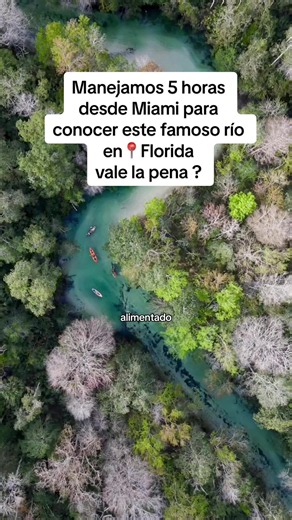 Manejamos cinco horas de Miami para conocer este famoso río en Florida. Vale la pena? #florida #floridasprings #hiddengems #planfamiliar #thingstodoinflorida