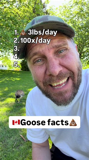 These birds are freaks #birds #nature #canada #canadageese | geese