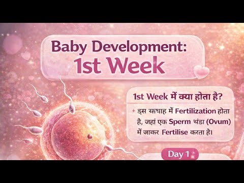 Baby Development is live::1st week pregnancy #pregnancy