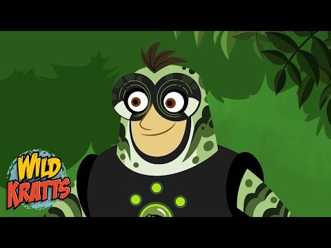 Creature Power: How Tree Frogs Blend In! | Creature Abilities | Wild Kratts