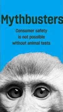 Are we safe without animal testing?